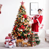 Christmas tree luxury package